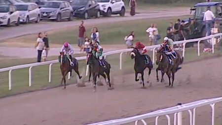 Ippica: Welnor e gli altri, poker di eventi alle Bettole