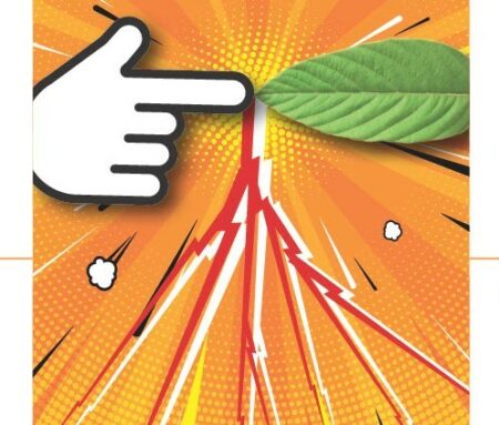 Varese: In sala Veratti 40 opere per l’ambiente