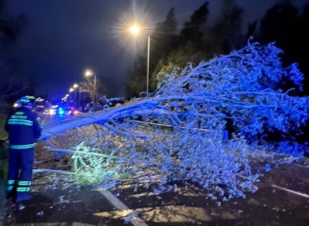Varesotto: Maltempo, alberi collassano sulle strade