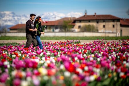 Varese: Ponte felice per gli agriturismi, prenotati al 90%