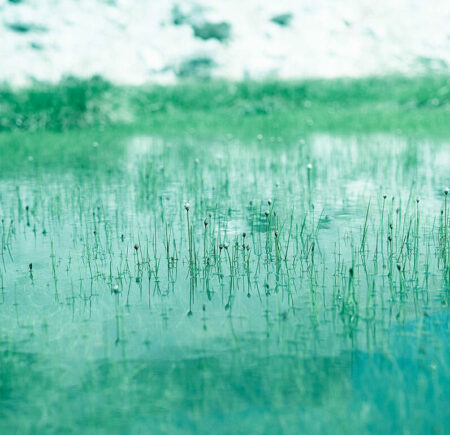 Milano: La montagna negli scatti di Giorgia Dal Molin