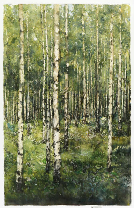 Como: Alla Pinacoteca Civica arriva l’arte scandinava