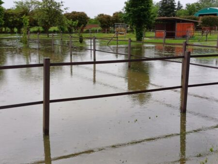 Samarate: Allagata scuderia con 25 cavalli