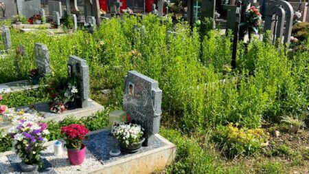 Cassano: Affondo di Lega alla giunta “Degrado totale”