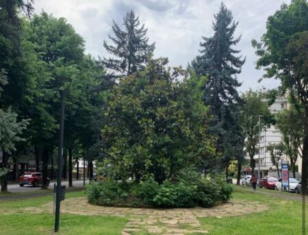 Busto: Le Fiamme Gialle d’Italia hanno il “loro” giardino