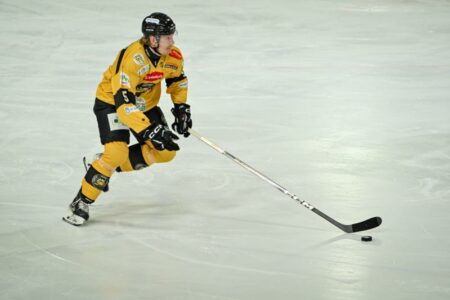 Hockey: Mastini, Naslund saluta