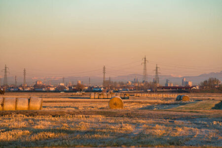 Milano: Sguardi su “Biodiversità: il motore della vita”