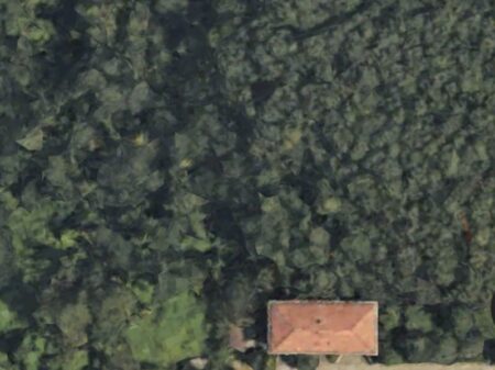 Gallarate: Passeggiata per "salvare" bosco di via Curtatone