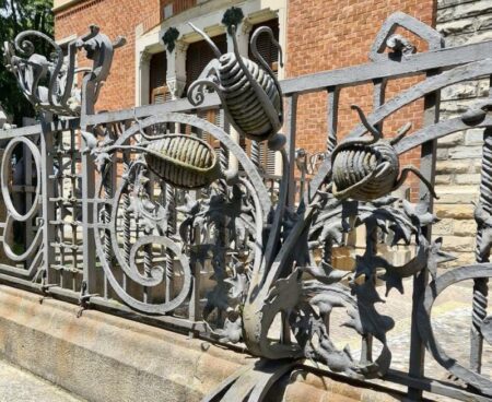 Busto: Museo week, il giorno della Natura urbana