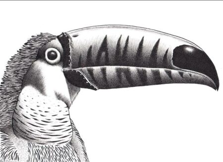 Pesaro: Il visionario illustratore Pedrazzini a Casa Bucci