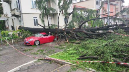Varese: Albero travolge auto in via Cassiodoro, illeso