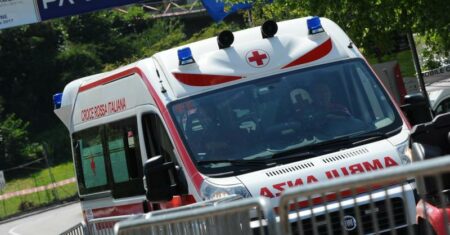 Varese: Cani all'attacco, ferita 60enne. Morto cagnolino