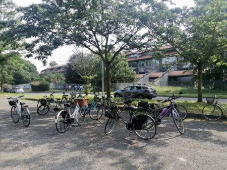 Busto: Richino Castiglioni, in 15 al ciclotour