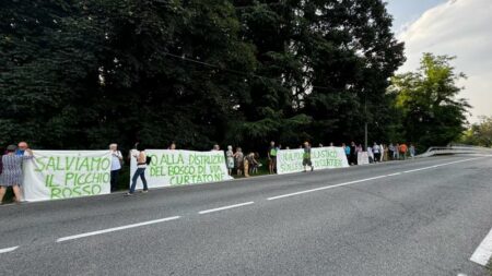Gallarate: Continua la lotta per il bosco di via Curtatone