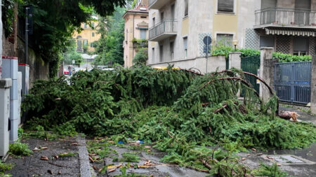 Varesotto: Tempesta e strage di alberi in tutta la provincia