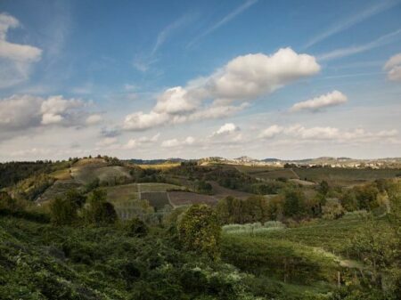 Monferrato: A settembre Arte in Festa con il “Germinale”