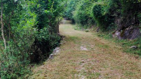 Viggiù: Linea Cadorna, Alpini al lavoro per la pulizia