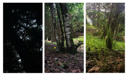 Sondrio: “Le montagne immaginate” al Castello Masegra