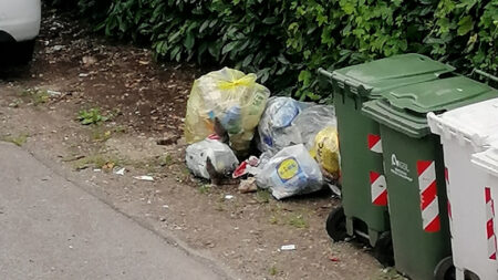 Busto: Rifiuti e topi in via Lamarmora: "Ora basta!”