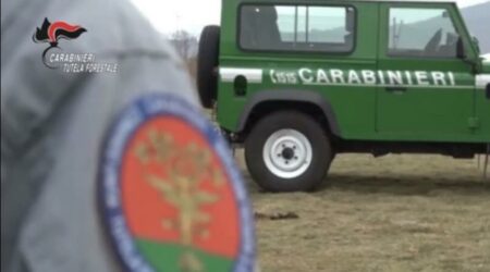 Cunardo: Valganna, abbandonano rifiuti. Individuati