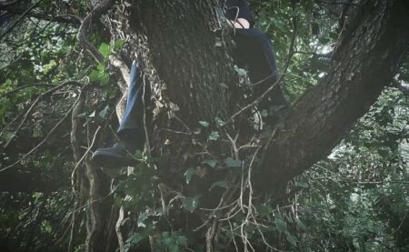 Gallarate: Via Curtatone, attivisti ancora sugli alberi