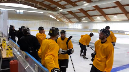 Hockey: Lunedì 26 agosto Mastini di nuovo sul ghiaccio