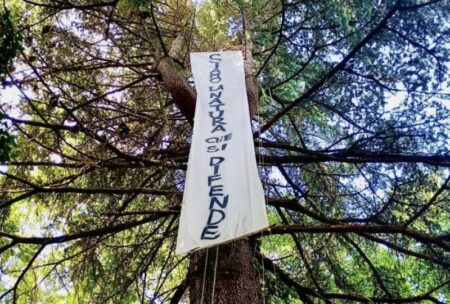 Gallarate: Attivisti, "Noi siamo la natura che si difende"