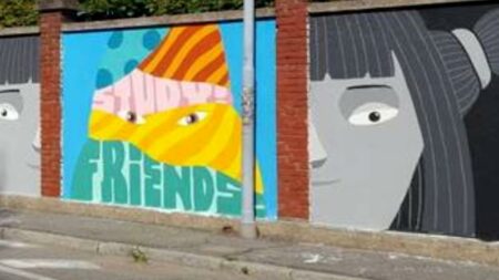 Gallarate: Murales al Gadda, confermata la cancellazione