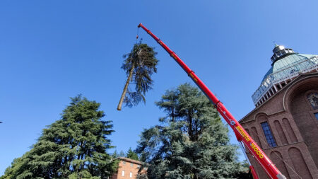 Varese: Albero pericolante "in volo" sulla Brunella