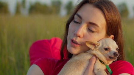 Varese: Vita da cani, 9.500 risiedono nel capoluogo