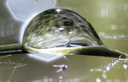 Venezia: Viaggio attraverso le percezioni dell’”Intoccabile