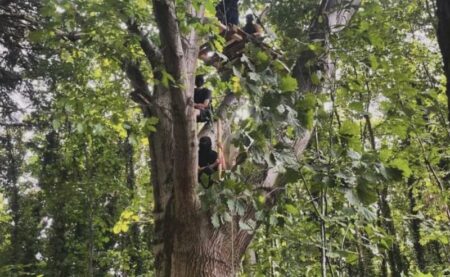 Gallarate: Legambiente interviene su via Curtatone