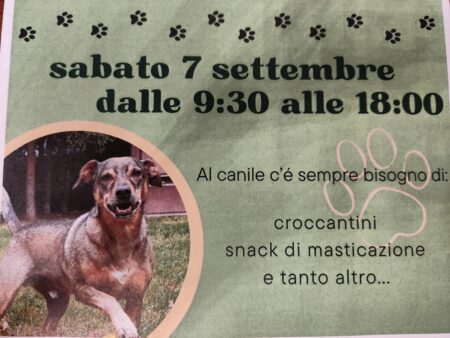 Busto: Leo, raccolta alimentare per il canile