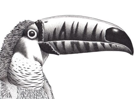 Pesaro: Prosegue a Casa Bucci la mostra di Pedrazzini