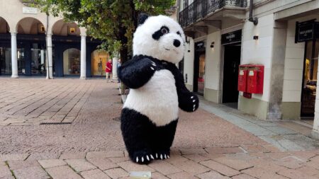 Varese: Alex il Panda, mascotte di corso Matteotti