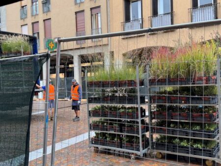 Busto: Via Cavallotti pronta a colorarsi di verde