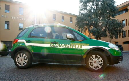 Bardello: Macello abusivo, denuncia e sequestro