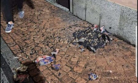 Varese: Vandalizzata la sede di A.Mici Randagi, a Biumo