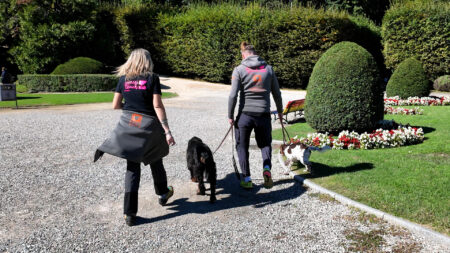 Varese: Addestramento urbano, la scuola dei cani in città