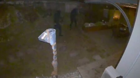 Venegono S.: Ladri in giardino filmati dalle telecamere