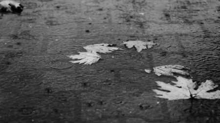 Varese: Pioggia da record: +145% rispetto a 30 anni fa