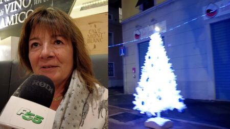 Busto: Albero della Pro bruciato, in fumo i buoni auspici