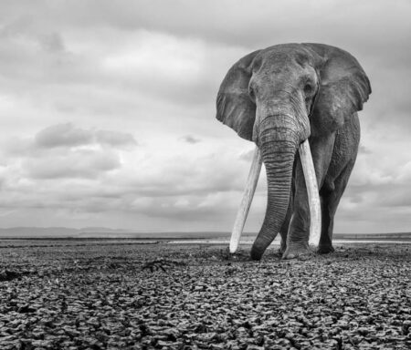 Milano: Il fotografo Federico Veronesi alla Permanente