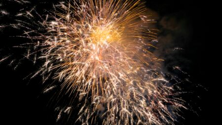 Varese: Ordinanza comunale: "Niente botti a Capodanno"