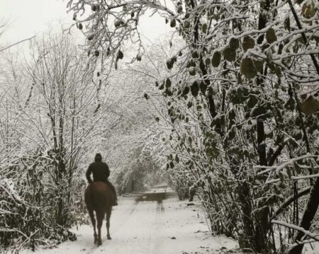 Busto: Immacolata, note di Natale al Parco Alto Milanese