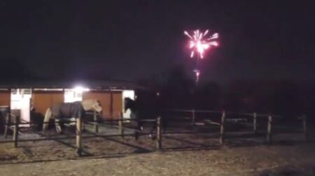 Cantello: L'effetto (traumatico) dei botti sui cavalli