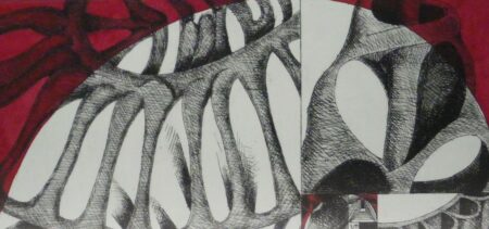 Milano: Allo Spazio Hajech espone Claudia Canavese