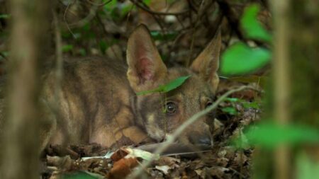 Milano: Permanente, riprendono le serate con i fotografi