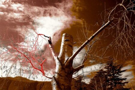 Busto: “Scossa”, 82 opere per l’ambiente in Regione