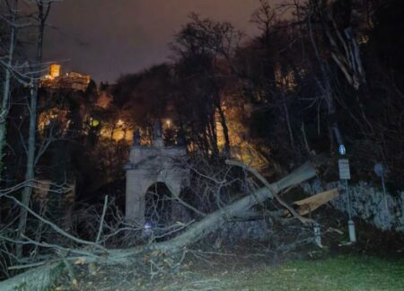 Varese: Albero su Via delle Cappelle, paura al Sacro Monte
